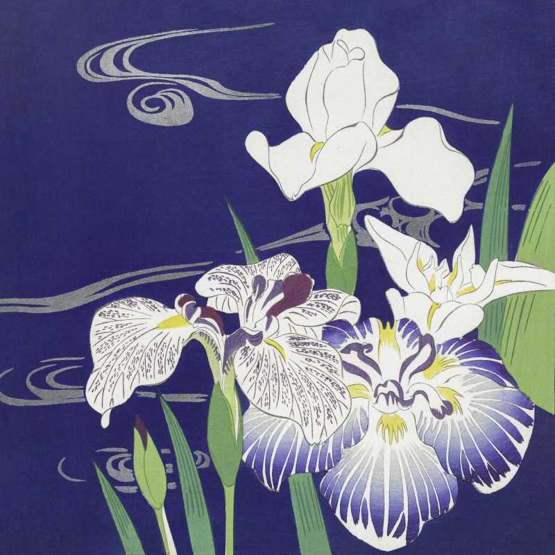 Stories/Translations